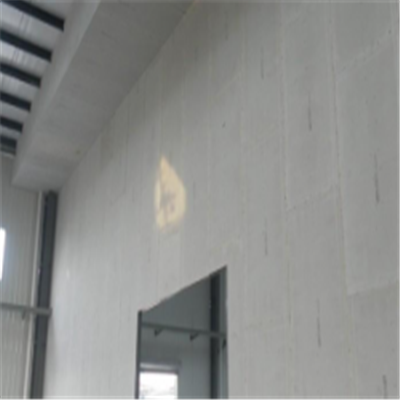 安阳宁波ALC板|EPS加气板隔墙与混凝土整浇联接的实验研讨